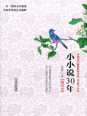 小小說30年