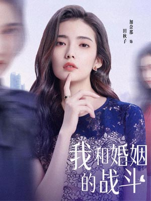 婚內婚外（我和婚姻的戰鬥）