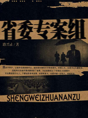 省委專案組