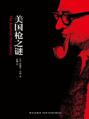 美國槍之謎