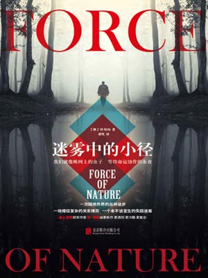 迷霧中的小徑