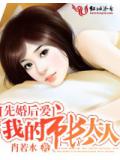 先婚後愛:我的市長大人