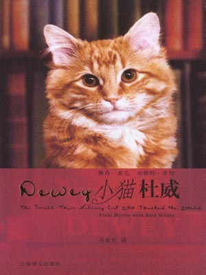 小貓杜威
