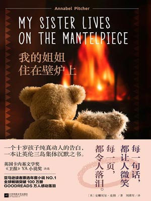 我的姐姐住在壁爐上