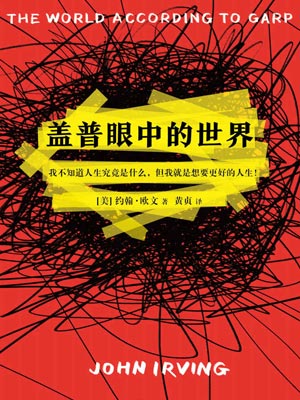 蓋普眼中的世界