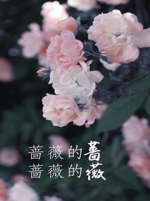 薔薇的薔，薔薇的薇