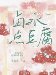 滷水點豆腐