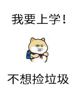砸鍋賣鐵去上學（我要上學）