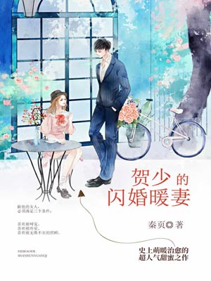 賀少的閃婚暖妻
