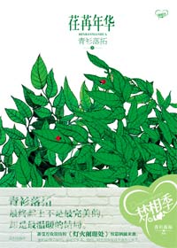 荏苒年華