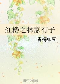 紅樓之林家有子