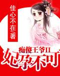 痴傻王爺II妃孕不可