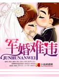 軍婚難違