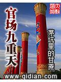 官場九重天