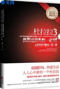 杜拉拉昇職記3(我在這戰鬥的一年裡)