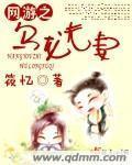 網遊之烏龍夫妻