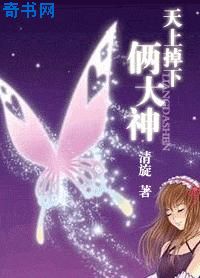 天上掉下倆大神(網遊)