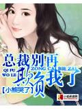 總裁別再追我了