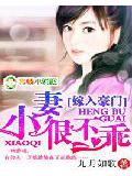 嫁入豪門:小妻很不乖